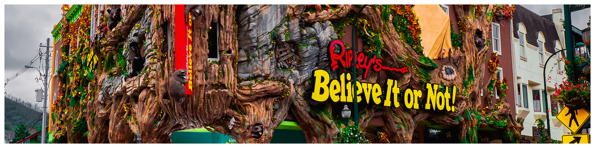 Ripley's Believe It or Not! (Header Background) | Gatlinburg Attractions