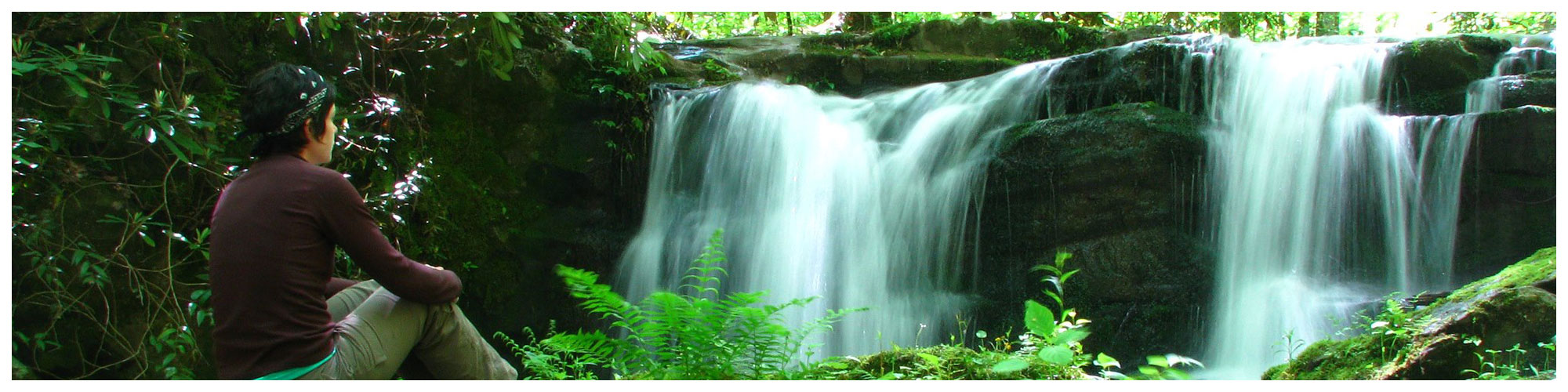 A Walk in the Woods (Header Background) | Gatlinburg Attractions